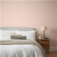 Dunelm Matt Emulsion Paint