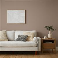 Dunelm Matt Emulsion Paint