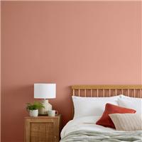 Dunelm Matt Emulsion Paint