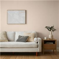 Dunelm Matt Emulsion Paint