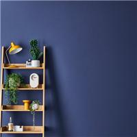 Dunelm Matt Emulsion Paint