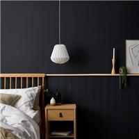 Dunelm Matt Emulsion Paint