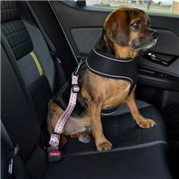 Tulips Dog Seat Belt Strap