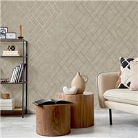 Amari Geometric Wallpaper