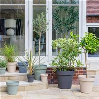 Cleo Planter with Wheels