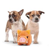Bark Beau the Boar Plush Dog Toy