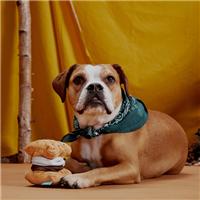 Bark More S'mores Plush Dog Toy