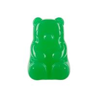 Bark Munchie the Bear Dog Toy