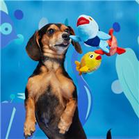 Bark Pack of 3 The Groupers Dog Toy