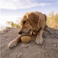 Bark Acornucopia Dog Toy