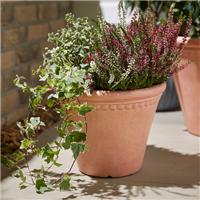 Scalloped Edge Smooth Fibre Clay Plant Pot