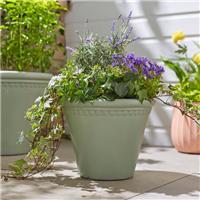 Scalloped Edge Smooth Fibre Clay Plant Pot