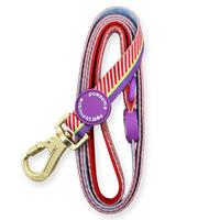 Pawsome Paws Boutique Disney Buzz Lightyear Dog Lead