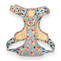 Pawsome Paws Boutique Disney Winnie the Pooh Harness
