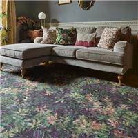 Clarke and Clarke Congo Washable Rug