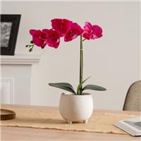 Artificial Pink Orchid in Cement Pot