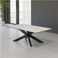 Indus Valley Athena Ceramic Coffee Table