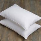 Teflon Stain Resistant All in One Medium Support Ultimate Pillow Pair White