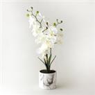 Artificial Orchid Cream in Marble Pot 56cm White