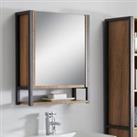 Industrial Mirrored Door Cabinet Brown