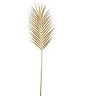 Pack of 12 Artificial Gold Palm Stem Gold