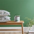 Dorma Persian Ivy Eggshell Paint Green