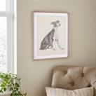 Churchgate Greyhound Framed Print Brown/White