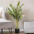 150cm Variegated Alpinia Plant Green