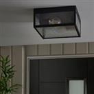 London Indoor Outdoor 2 Light Flush Ceiling Fitting Clear