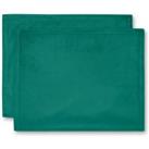 Set of 2 Recycled Velour Placemats Bottle (Green)