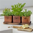 Set of 3 Herb Hampton Outdoor Planters with Tray Copper