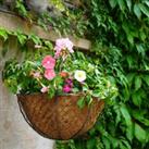 Netted Wire Hanging Basket Zinc