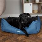 Scruffs Expedition Box Bed Blue