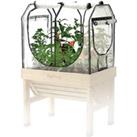 VegTrug Small Classic Greenhouse Frame and Cover Set Clear