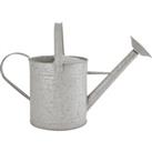 8.7 Litre Old Zinc Watering Can Grey