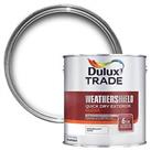 Exterior Paint White Gloss Wood Metal Durable Low Odour Quick Dry Water-Based 1L