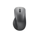 Lenovo Professional Wireless Bluetooth Optical Mouse 2400 DPI Right-Hand - Grey
