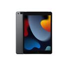 Apple iPad 9th Gen 4G+ Tablet Apple A13 8GB RAM 64GB Storage 10.2 in IPS Retina