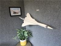 Wall mount for the Lego Icons Concorde 10318 fixings included