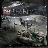 LEGO 30651 Harry Potter: Quidditch Practice, Brand New, Sealed.