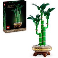 Lego Botanicals 10344 Lucky Bamboo Desk Plant Decor Playset (Box Damaged)