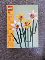LEGO Daffodils Celebration Gift 40747