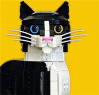 LEGO Whiskers for Ideas Tuxedo Cat 21349 set | Snap on Accessory