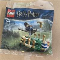 Lego Harry Potter Quidditch Practice Polybag (30651) NEW