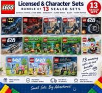 LEGO 13 Sealed Sets Bundle Batman Marvel Star Wars Minecraft Mario Bluey HP