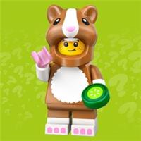 LEGO Minifigures Series 27 Hamster Costume Fan #1 Minifigure 71048 - Without Box