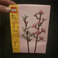LEGO Botanicals Cherry Blossoms 40725 430pc 8+ Botanical Collection Damaged Box