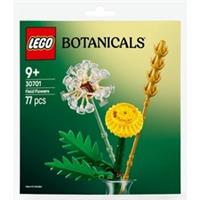 LEGO Botanicals Field Flowers Polybag Set 30701