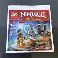 Lego Ninjago Arin vs. Dragonian Battle 30700 Paperbag BNIP