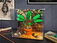 BRIXBOX Display case for LEGO Mandrake - 76433